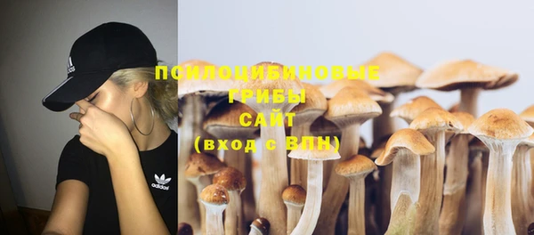 тгк Нефтекумск