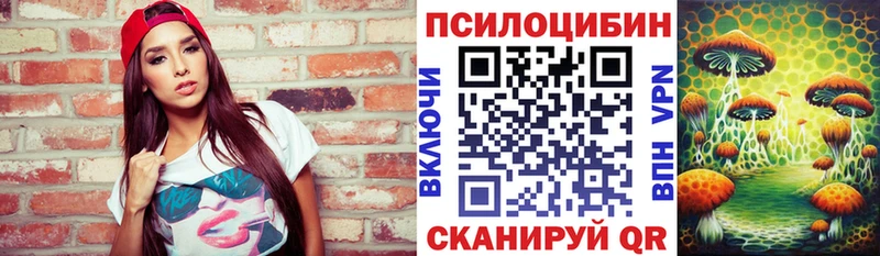 купить наркотик  Балахна  Галлюциногенные грибы MAGIC MUSHROOMS 