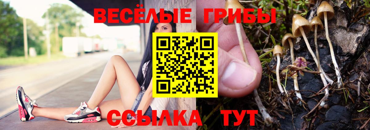 Псилоцибиновые грибы MAGIC MUSHROOMS Балахна