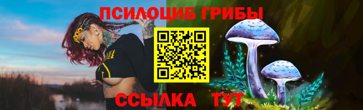 Балахна  Псилоцибиновые грибы прущие грибы  Вход с VPN  Псилоцибиновые грибы Psilocybe 